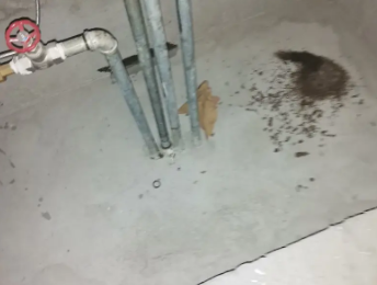 新荣卫生间测漏水价格明细