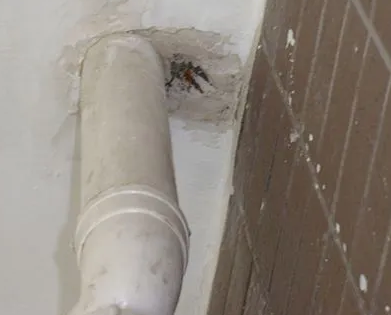 新荣漏水检测哪家好